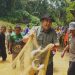 Bupati H M Syukur Didampingi Wabup Buka Lubuk Larangan Telun. (Foto: ist)