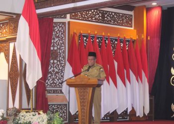 Wagub Sani: Sinergi Dinas dan Pemda Diperkuat untuk Optimal Penerimaan Pajak Daerah. (Foto : ist)
