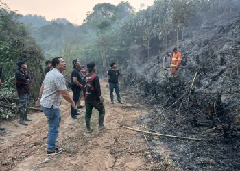 Polda Jambi Tangani Karhutla Seluas 5 Hektare di Areal PT Jebus Maju Merangin. (Foto : ist)