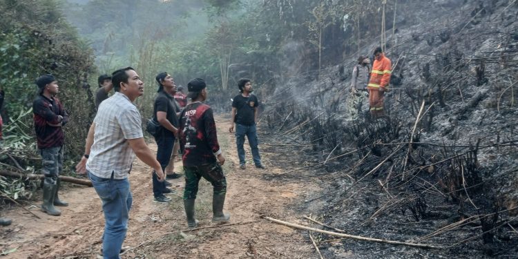 Polda Jambi Tangani Karhutla Seluas 5 Hektare di Areal PT Jebus Maju Merangin. (Foto : ist)