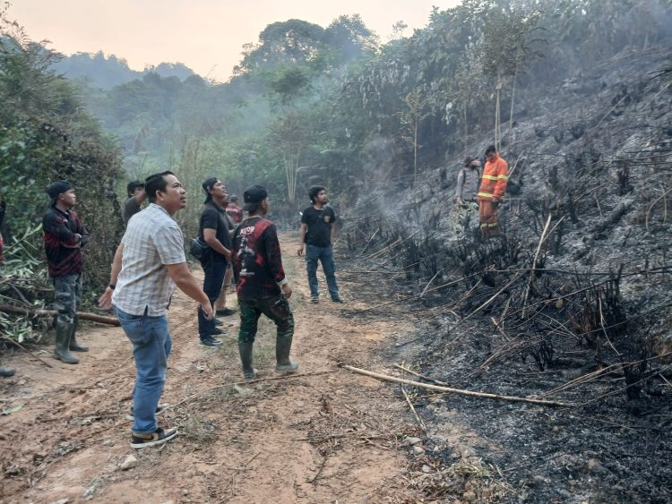 Polda Jambi Tangani Karhutla Seluas 5 Hektare di Areal PT Jebus Maju Merangin. (Foto : ist)