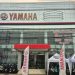 Yamaha Flagship Shop Jambi Manjakan Pelanggan dengan Promo Spesial Selama Bulan September 2026. (Foto : ist)