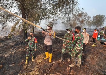 Polda Jambi Bersama Forkopimda Cek Langsung Lokasi Kebakaran di HLG Londerang. (Foto : ist)