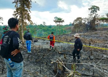 Polda Jambi Dalami Dua Kasus Karhutla di Areal Korporasi, 16 Laporan Polisi Masuk Tahap Penyidikan. (Foto : ist)