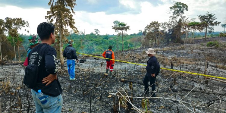 Polda Jambi Dalami Dua Kasus Karhutla di Areal Korporasi, 16 Laporan Polisi Masuk Tahap Penyidikan. (Foto : ist)