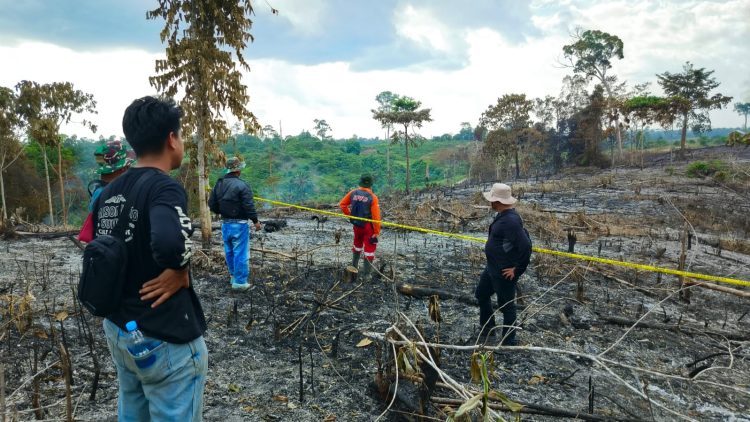 Polda Jambi Dalami Dua Kasus Karhutla di Areal Korporasi, 16 Laporan Polisi Masuk Tahap Penyidikan. (Foto : ist)