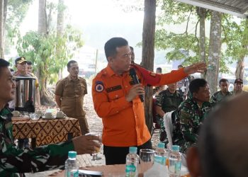 Gubernur Al Haris Dukung Inovasi Tanam Bambu di Lahan Gambut untuk Cegah Karhutla. (Foto : ist)