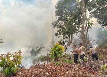 Satbrimob Polda Jambi Kerahkan 30 Personel Tangani Karhutla di Betara Tanjabbar. (Foto : ist)