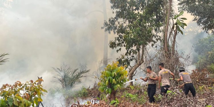 Satbrimob Polda Jambi Kerahkan 30 Personel Tangani Karhutla di Betara Tanjabbar. (Foto : ist)