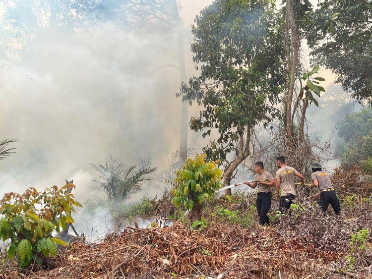 Satbrimob Polda Jambi Kerahkan 30 Personel Tangani Karhutla di Betara Tanjabbar. (Foto : ist)