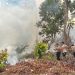 Satbrimob Polda Jambi Kerahkan 30 Personel Tangani Karhutla di Betara Tanjabbar. (Foto : ist)