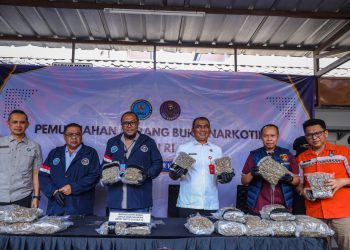 BNN amankan WNA China bawa 14,6 kg ganja di bandara Soekarno-Hatta. (Foto : ist)