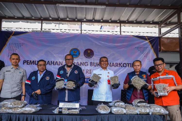 BNN amankan WNA China bawa 14,6 kg ganja di bandara Soekarno-Hatta. (Foto : ist)