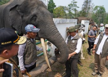 Dampingi Menhut Raja Juli, Al Haris Tinjau Konservasi Gajah dan Hutan Desa di Jambi. (Foto : ist)