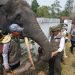 Dampingi Menhut Raja Juli, Al Haris Tinjau Konservasi Gajah dan Hutan Desa di Jambi. (Foto : ist)