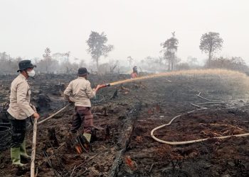 Tim Gabungan TNI-Polri dan Masyarakat Lakukan Pendinginan Karhutla di Lahan Gambut Desa Rantau Panjang. (Foto : ist)