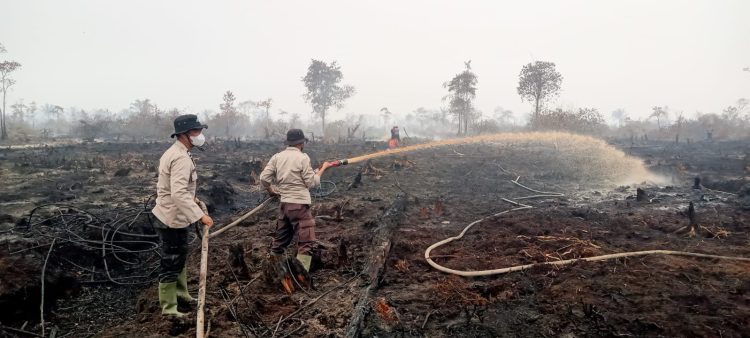 Tim Gabungan TNI-Polri dan Masyarakat Lakukan Pendinginan Karhutla di Lahan Gambut Desa Rantau Panjang. (Foto : ist)