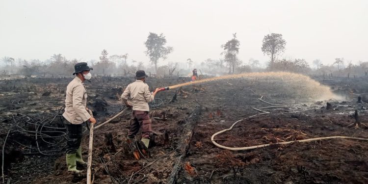 Tim Gabungan TNI-Polri dan Masyarakat Lakukan Pendinginan Karhutla di Lahan Gambut Desa Rantau Panjang. (Foto : ist)