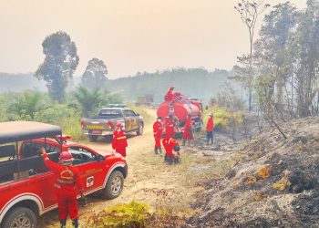 Tim Gabungan Padamkan Karhutla di Sungai Pulai Batanghari, Setengah Hektare Lahan Terbakar. (Foto : ist)
