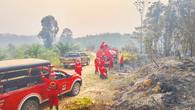 Tim Gabungan Padamkan Karhutla di Sungai Pulai Batanghari, Setengah Hektare Lahan Terbakar. (Foto : ist)