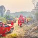 Tim Gabungan Padamkan Karhutla di Sungai Pulai Batanghari, Setengah Hektare Lahan Terbakar. (Foto : ist)