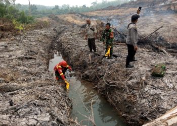 Tim Gabungan Padamkan Hotspot di Desa Pelayangan Batanghari, Luas Lahan Terbakar ±0,8 Hektare. (Foto : ist)