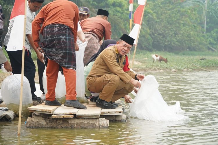 Gubernur Al Haris Restocking 25.000 Benih Ikan Nilem di Lubuk Larangan Danau Sibuk Kabupaten Bungo. (Foto : ist)