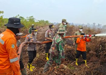Wakapolda Jambi Pantau Penanganan Karhutla, Patroli Udara Temukan Titik Api di Labuhan Pering dan TNB Sembilang. (Foto : ist)