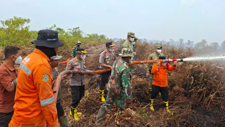 Wakapolda Jambi Pantau Penanganan Karhutla, Patroli Udara Temukan Titik Api di Labuhan Pering dan TNB Sembilang. (Foto : ist)