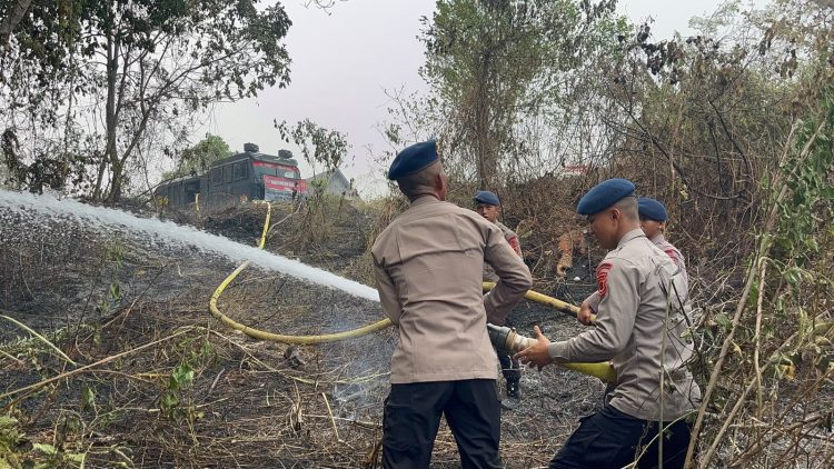 Respons Cepat, Personel Satbrimob Polda Jambi Padamkan Kebakaran Lahan di Merangin. (Foto : ist)